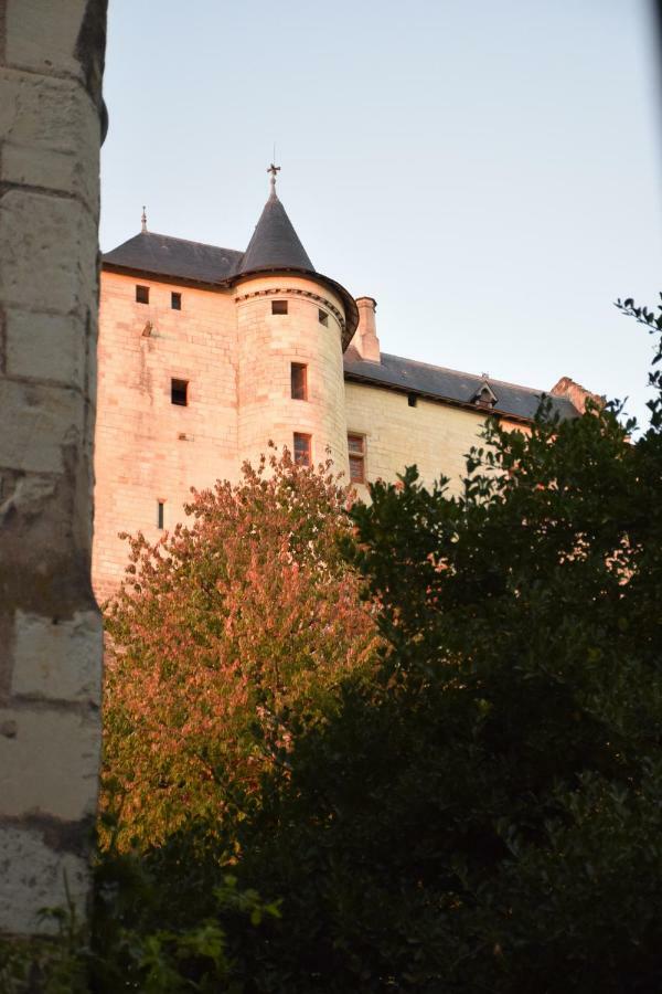 Au Relais Saint Maurice Bed & Breakfast Chinon Exterior photo